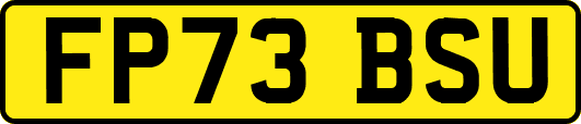 FP73BSU