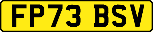 FP73BSV