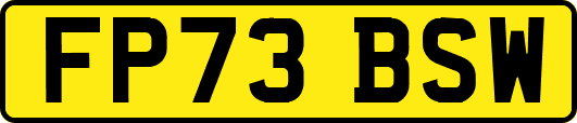 FP73BSW