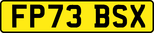 FP73BSX