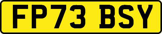 FP73BSY