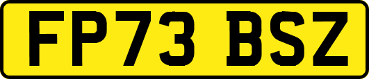 FP73BSZ