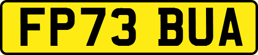 FP73BUA