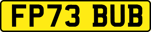 FP73BUB