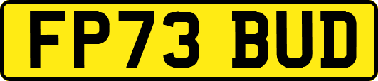 FP73BUD