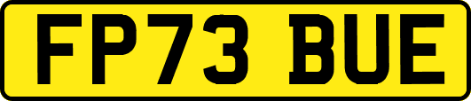 FP73BUE