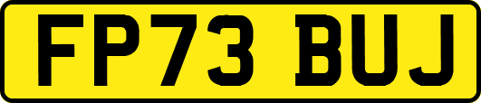FP73BUJ