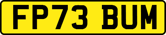 FP73BUM