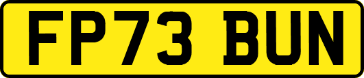 FP73BUN
