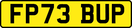 FP73BUP