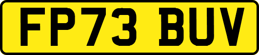 FP73BUV