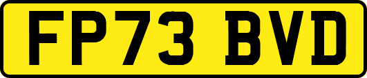 FP73BVD