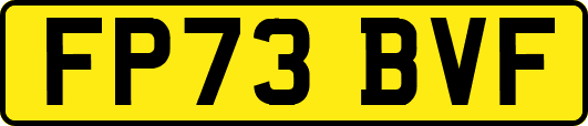 FP73BVF