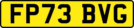 FP73BVG