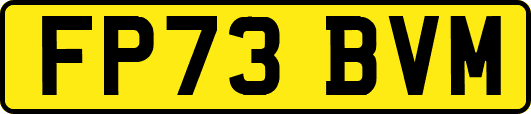 FP73BVM