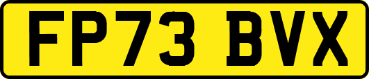 FP73BVX
