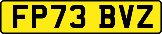 FP73BVZ