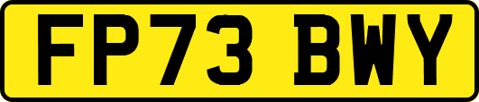 FP73BWY