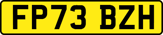FP73BZH