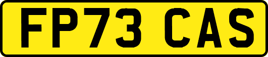 FP73CAS