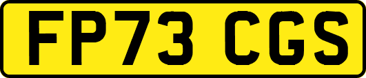 FP73CGS