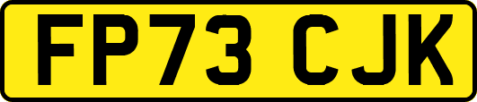 FP73CJK