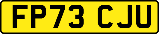 FP73CJU