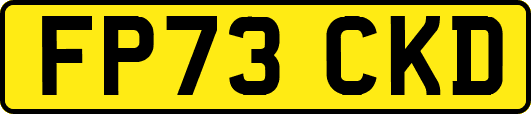 FP73CKD