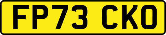 FP73CKO