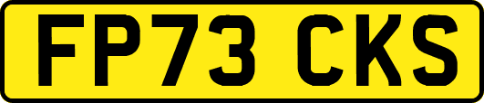 FP73CKS
