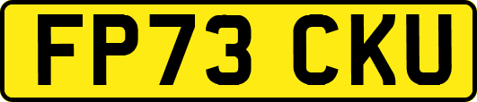 FP73CKU