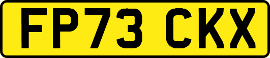FP73CKX