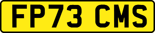 FP73CMS