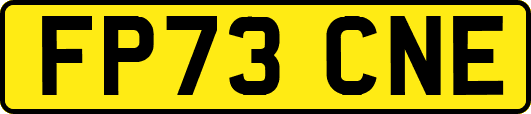 FP73CNE