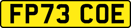 FP73COE