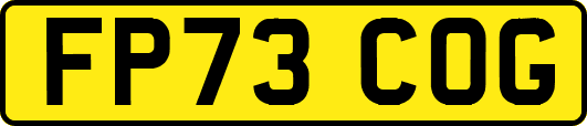 FP73COG
