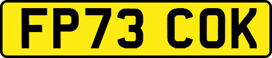 FP73COK