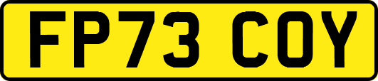 FP73COY