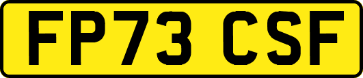 FP73CSF