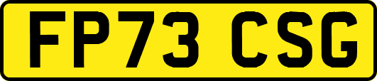FP73CSG