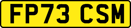 FP73CSM