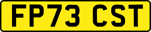 FP73CST