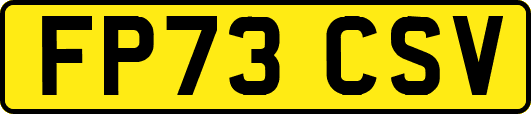 FP73CSV