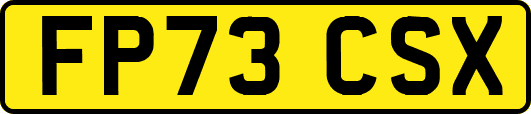 FP73CSX