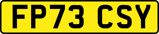 FP73CSY