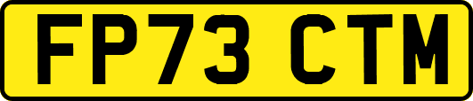 FP73CTM