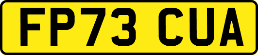 FP73CUA