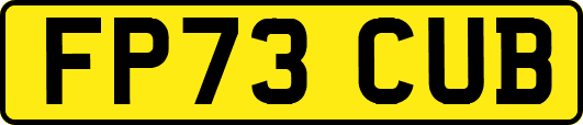 FP73CUB