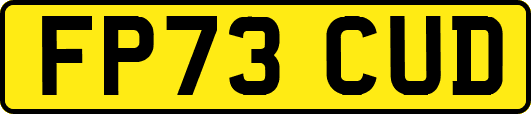 FP73CUD