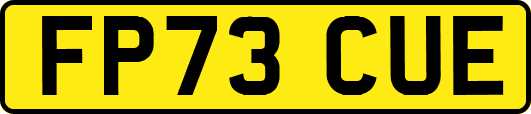FP73CUE
